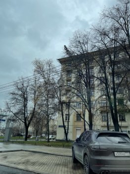 8D6842ED-7571-4FCE-ADC4-8058BC110385.jpeg