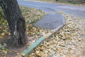 Фото места нарушения 1.jpg
