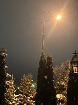 6B60644F-E356-43E3-86E3-1C00EE4B0BB5.jpeg