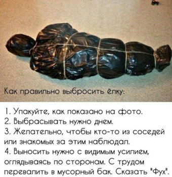 E1B2C0BE-BD5E-4F1E-9959-C60988EF79D8.jpeg