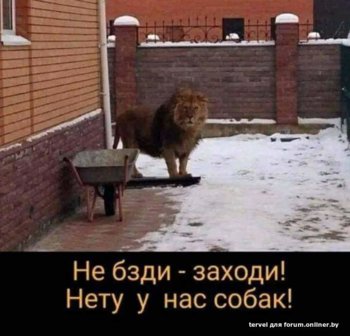 bde2199d311b0d57e35fe42158508818.jpeg