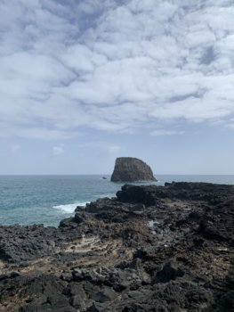 39D50918-CC63-4266-B54A-513F762B5B60.jpeg