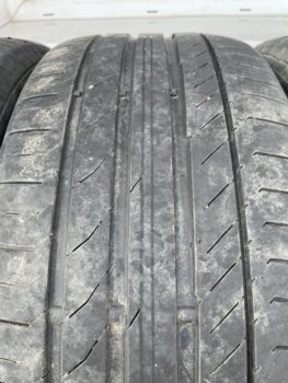IMG_2567.jpg