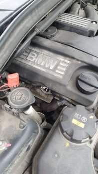 20220415_121115.jpg
