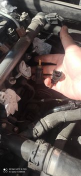 IMG_20220510_092537.jpg