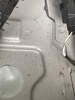 080A15DC-347B-4D39-81E3-2DF42CE622E5.jpeg