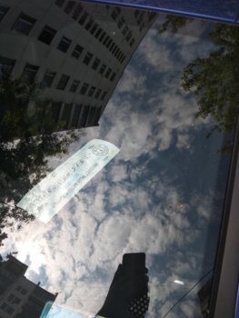 IMG_20220613_090942.jpg