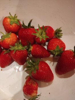 IMG_20220617_213629.jpg