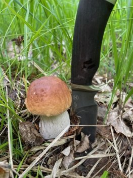 IMG_6786.jpg