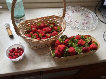 AB6AABC4-5E50-4DAE-9657-C0B24996ED34.jpeg