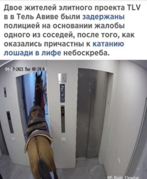 30AE15DB-076A-4832-BAE9-B92EBF6AA391.jpeg