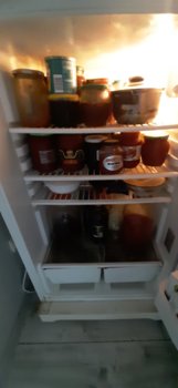 20220721_125441.jpg