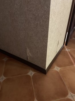 3D1DF5C0-FF84-4468-93E0-5F68CFA7C6DE.jpeg