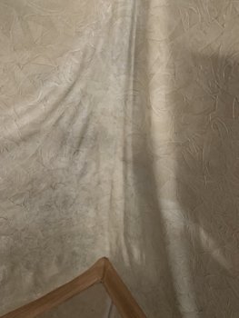 54A0047A-3EFA-4F6D-BC2E-665EE2C72F4C.jpeg