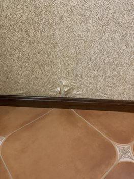 5E1C9122-4870-4626-9240-F1004840842A.jpeg