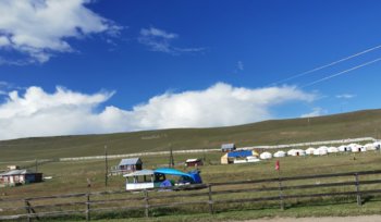 IMG_20220804_085503.jpg