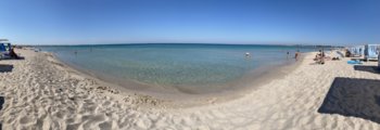 5307F4B4-60F9-4957-ADDB-25B0D29AF768.jpeg