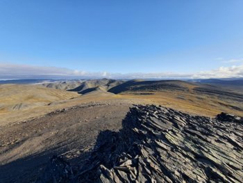 39.jpg