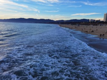 IMG_20221117_163104.jpg