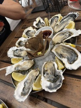 B059B6C2-0588-4F94-A2B7-6734E356AD72.jpeg
