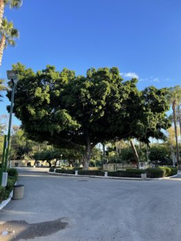 5074DDED-CBB1-4C13-8608-F8E04A07511F.jpeg