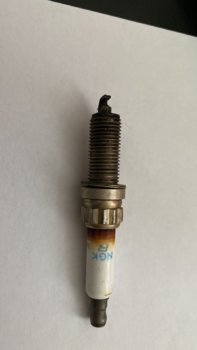 373AA61D-C6C8-4489-BAC4-C86E3661FF6E.jpeg