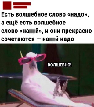 0rU94HaSk2c.jpg
