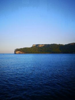 IMG_20221114_170016.jpg