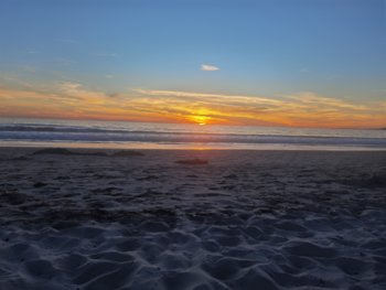 IMG_20221120_164725.jpg