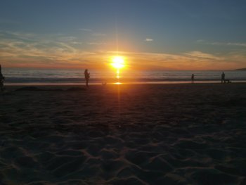 IMG_20221120_163805.jpg