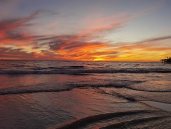 IMG_20221117_170023.jpg