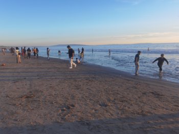 IMG_20221120_162733.jpg