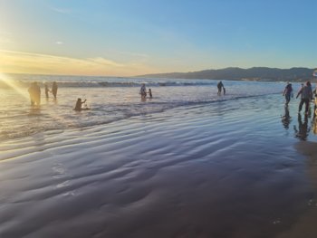 IMG_20221120_162303.jpg