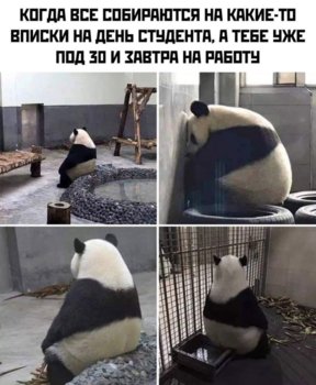 BA9D1ED5-8E77-4CB7-A198-5233A02EC59E.jpeg