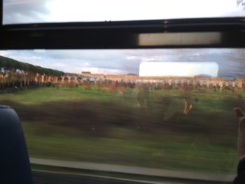 IMG_20200307_194325.jpg