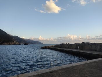 IMG_20221228_161236.jpg