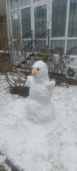 20230212_145930.jpg