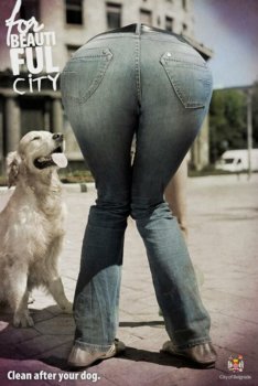 clean_after_your_dog.jpg