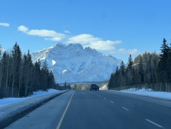 IMG_9374.jpeg