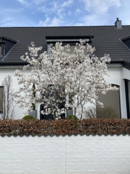 26E5704C-0EA0-490D-AC82-61BC6361D4B5.jpeg
