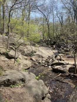 IMG_2979.jpeg