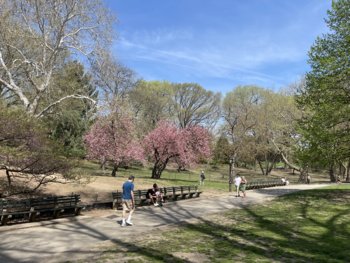 IMG_2964.jpeg