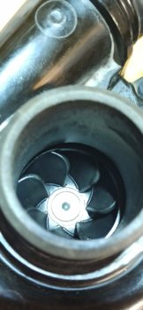 IMG_20230430_171142.jpg