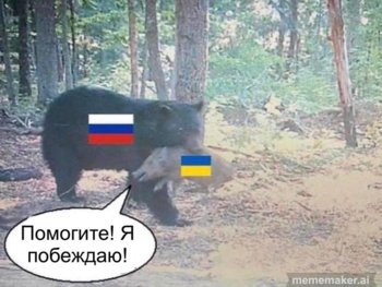 249ED352-E978-4551-9E79-818518F492F5.jpeg