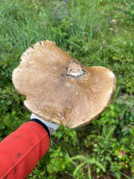 IMG_5707.jpeg