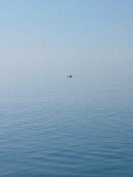 20230705_084056.jpg