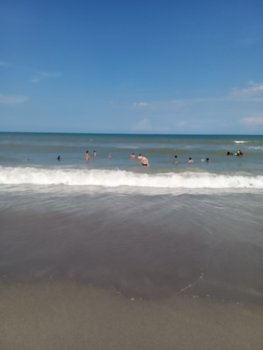 IMG-20230709-WA0008.jpg