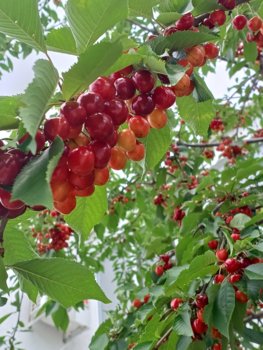 20230616_133943.jpg