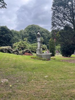 IMG_2384.jpeg