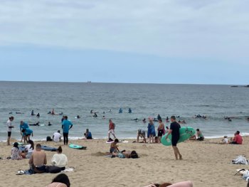 IMG_2388.jpeg